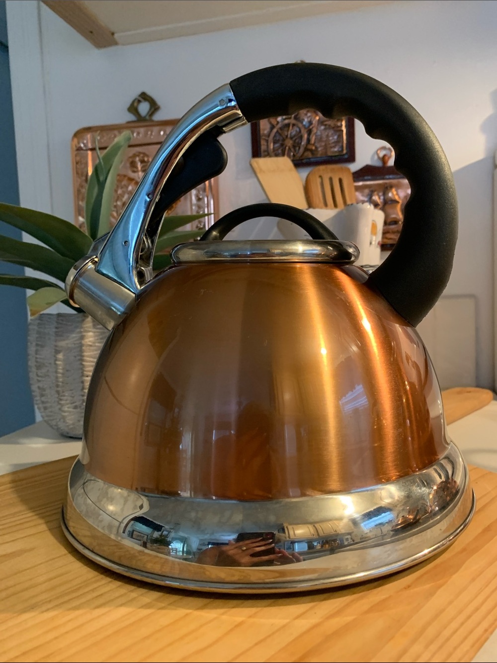 Copper Look/& Chrome 3 Qt Whistling Stove Top Tea Pot .  Creative Home Home